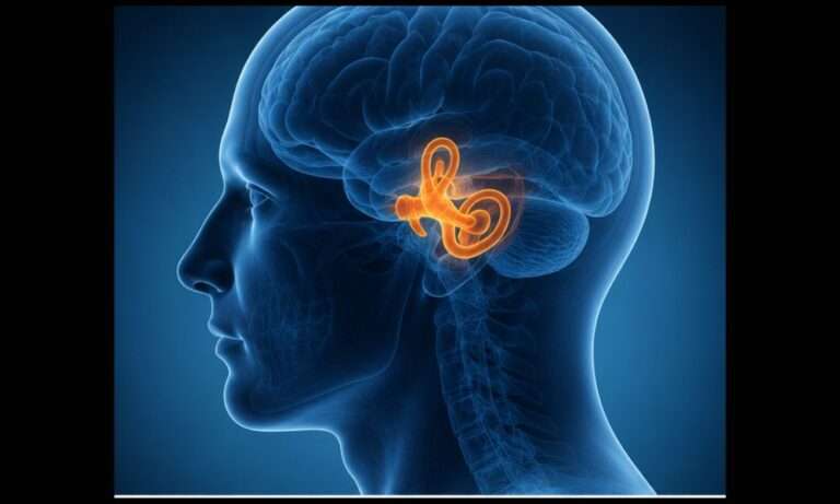 How to Manage Dizziness From Anxiety ,breathing, stress response, heartbeat