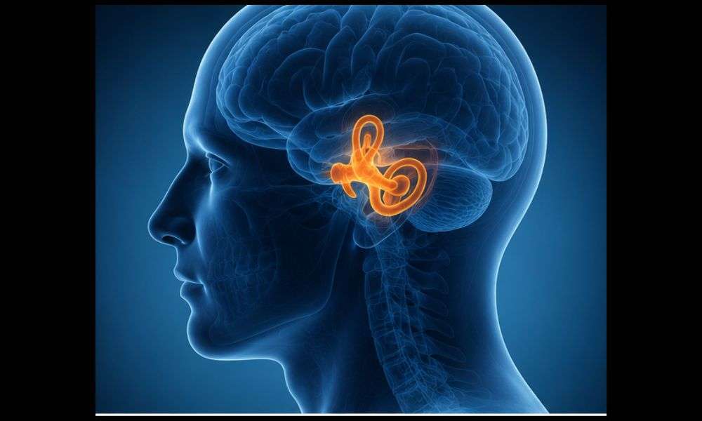 How to Manage Dizziness From Anxiety ,breathing, stress response, heartbeat